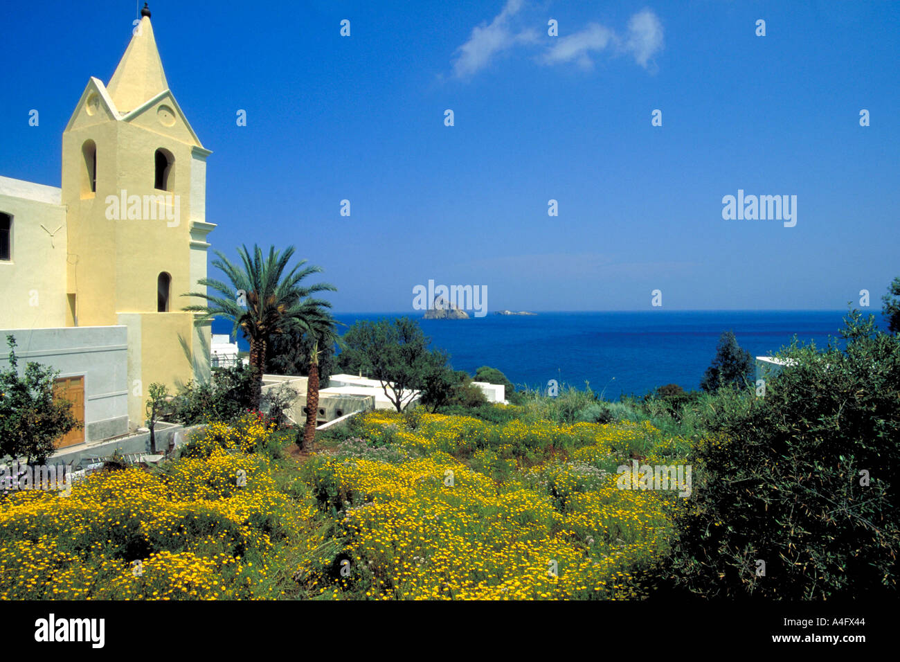 Italia Isole Eolie giallo scope in fiore e il mare Mediterraneo Foto Stock