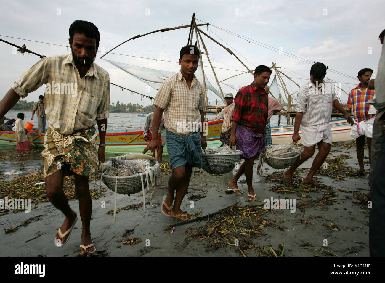 IND India Kerala, Cochin : i pescatori portano i loro pesci per il Fishmarket presso la spiaggia del centro storico Fort Cochin Foto Stock