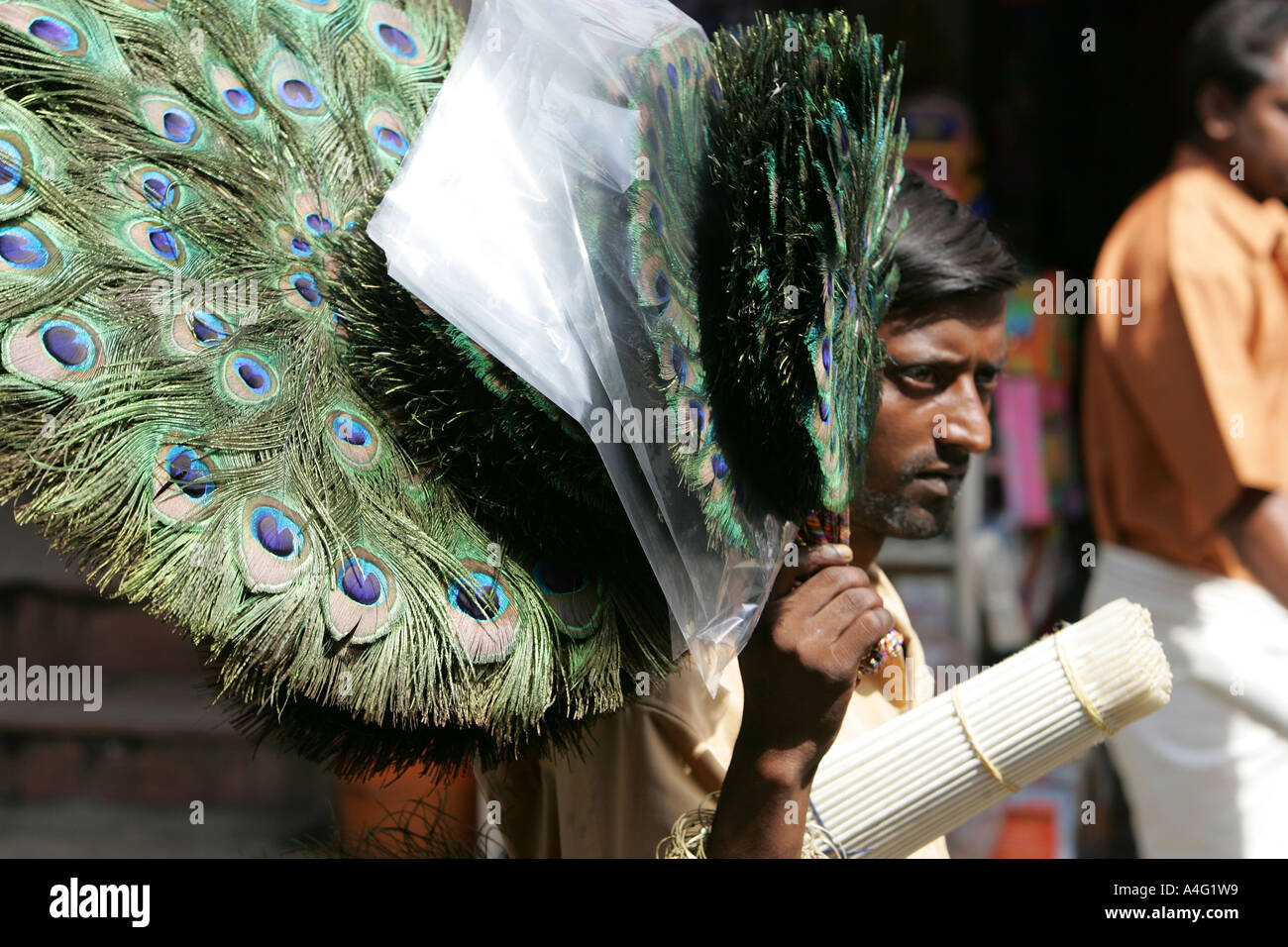 IND India Kerala, Cochin : Ernakulum, la parte moderna della città gemella Cochin-Ernakulum. E il mercato nel trimestre. Peecock feat Foto Stock