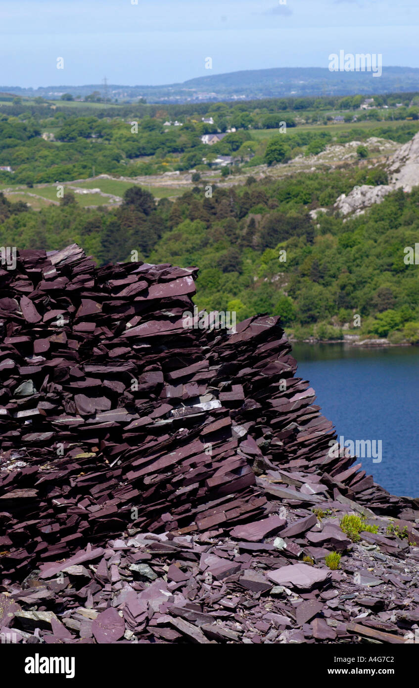 Vecchia punta ardesia affacciato Llyn Padarn Lake vicino a Llanberis Snowdonia Gwynedd North Wales UK Foto Stock