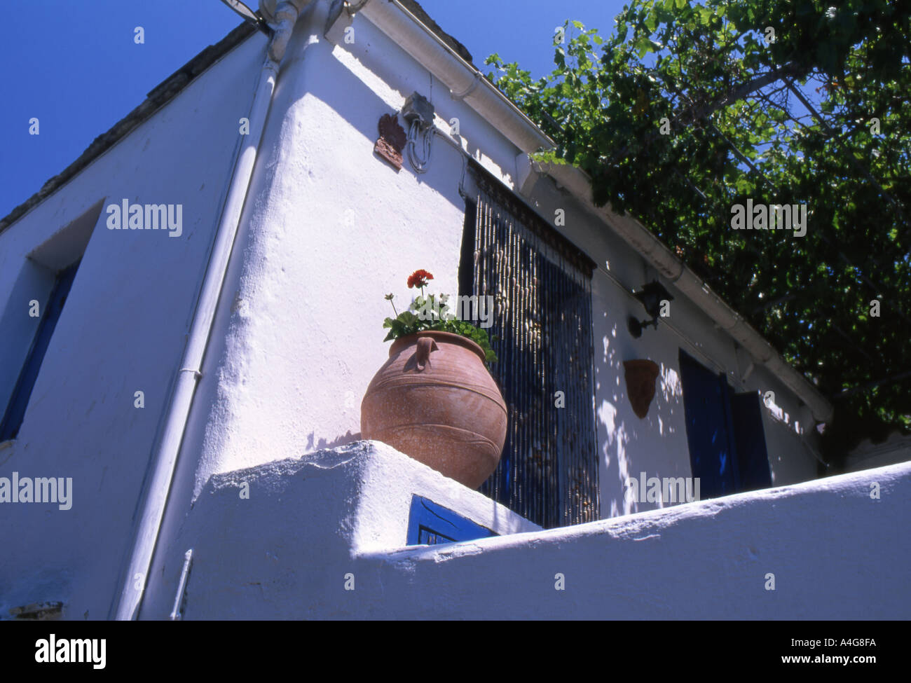 Vaso in terracotta permanente sulla parete della vecchia casa nella città vecchia in Alonissos in Grecia numero 2046 Foto Stock