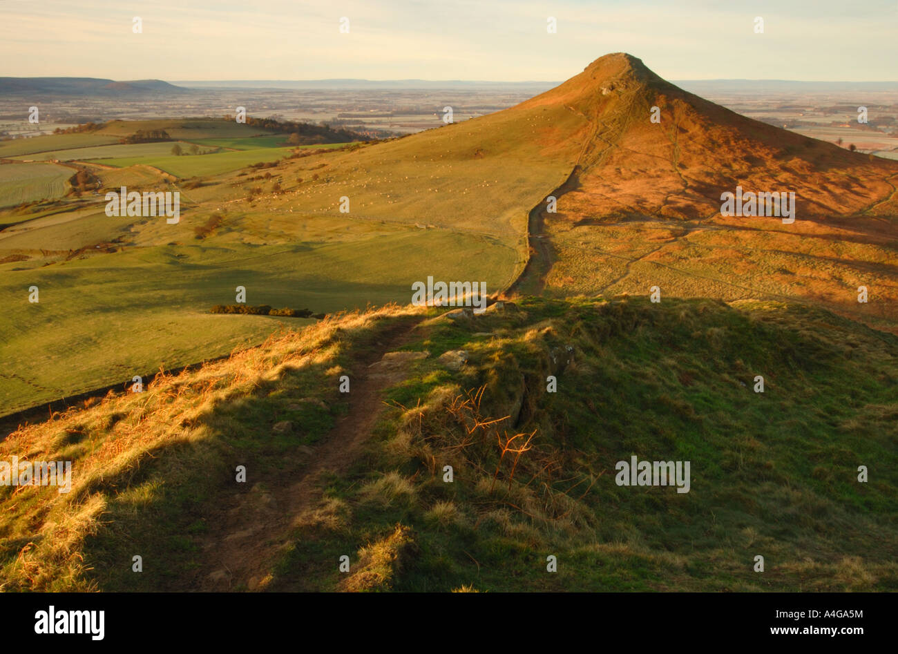 Roseberry Topping, grande Ayton, North Yorkshire Moors Foto Stock