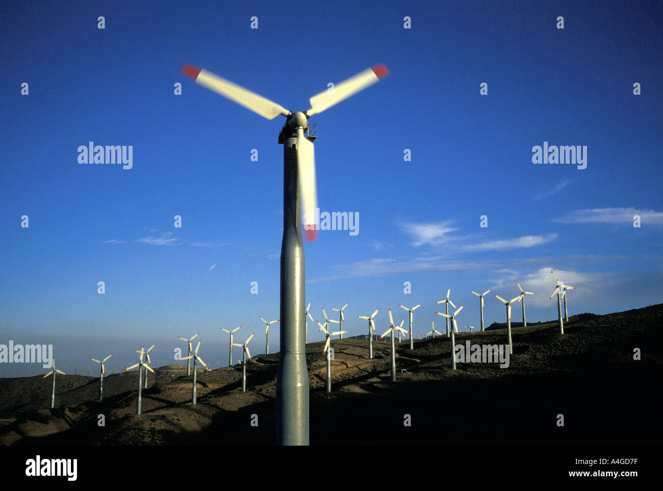 Industria Energia Mulino a vento Foto Stock