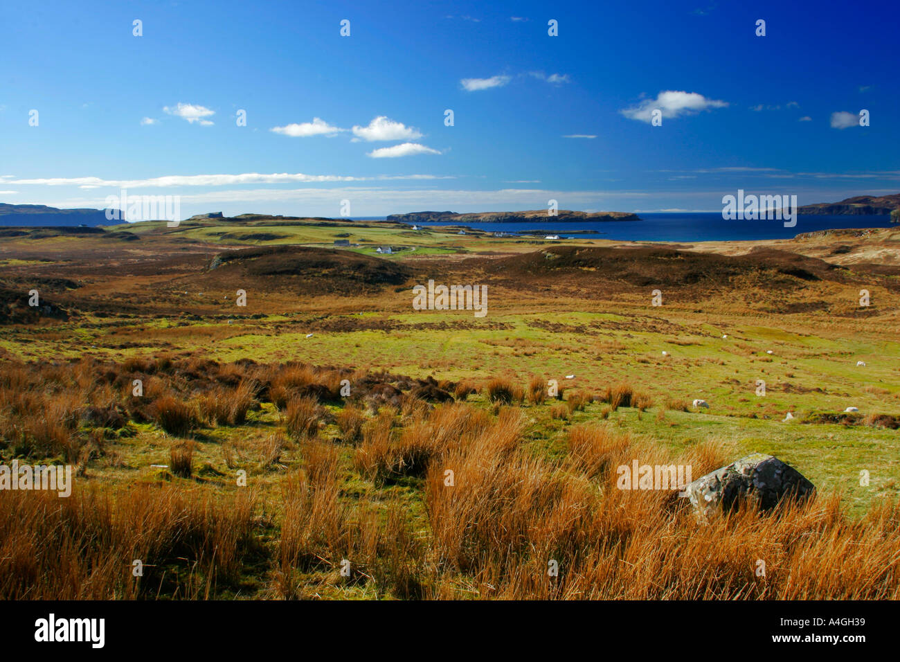 La Scozia, Highlands scozzesi e le isole, l'Isola di Skye. Open farm e moor terra vicino al Loch Harport sull'Isola di Skye Foto Stock