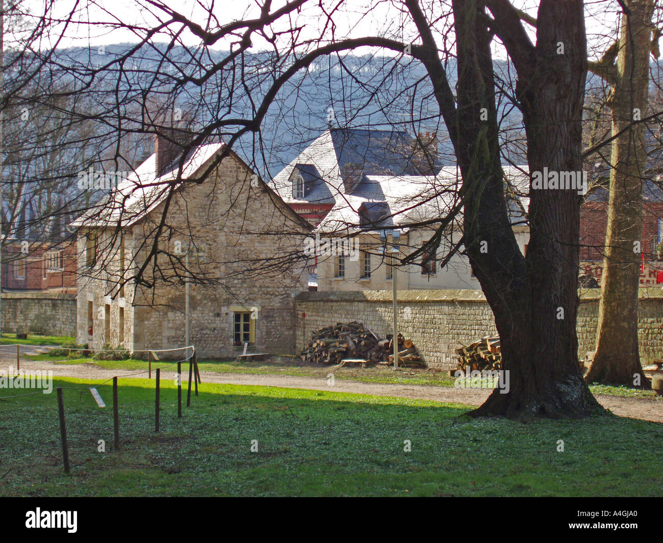 L'Abbazia Abbaye de Jumieges Rouen Calvados Normandia Francia Europa Foto Stock