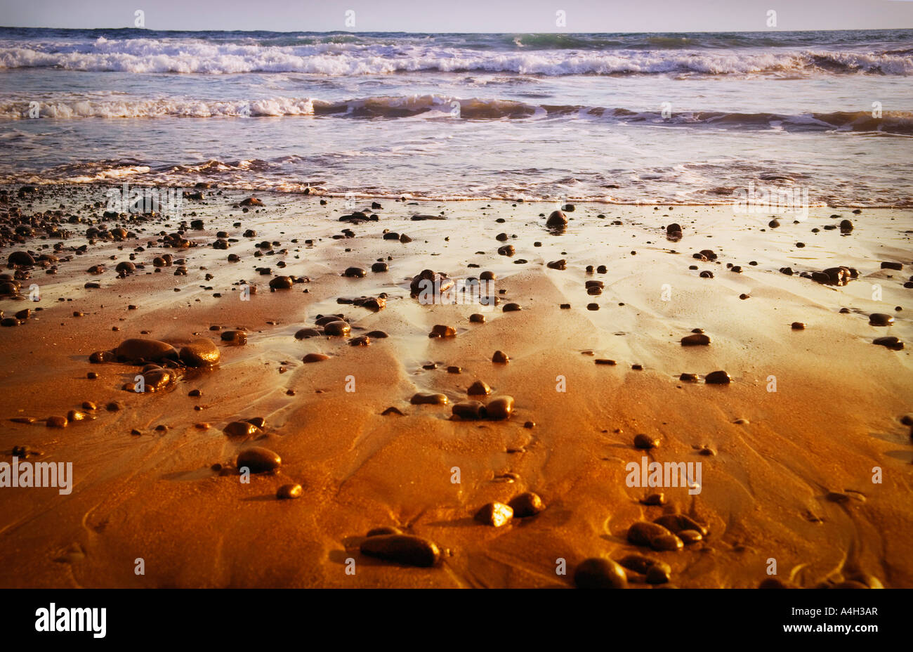 Spiaggia rocciosa Foto Stock