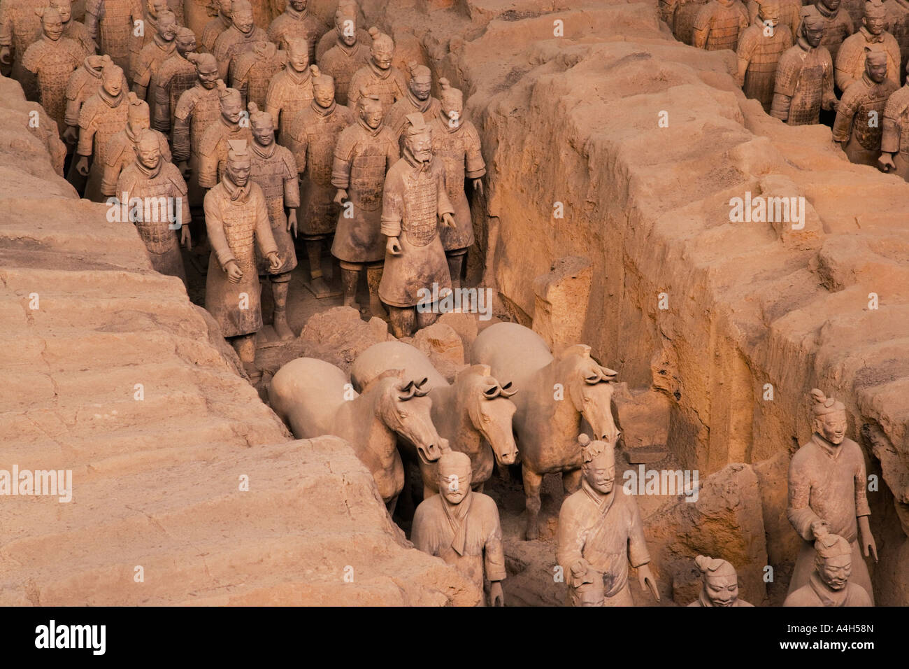 Chiudere angolato tiro da sinistra di soldati permanente e cavalli esercito di terracotta a Xi'an Cina JMH2035 Foto Stock