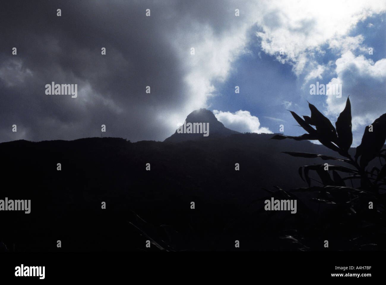 Il monte Pellegrino dello Sri Pada noto anche come Adam s Picco dal lato Ratnapura Foto Stock