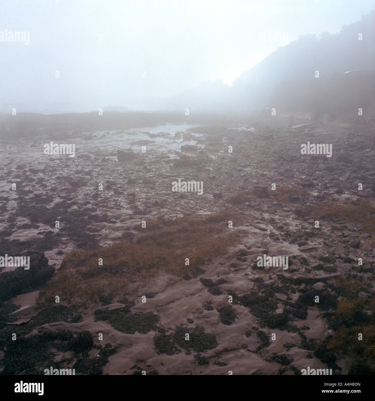 Beachley, fango Foto Stock