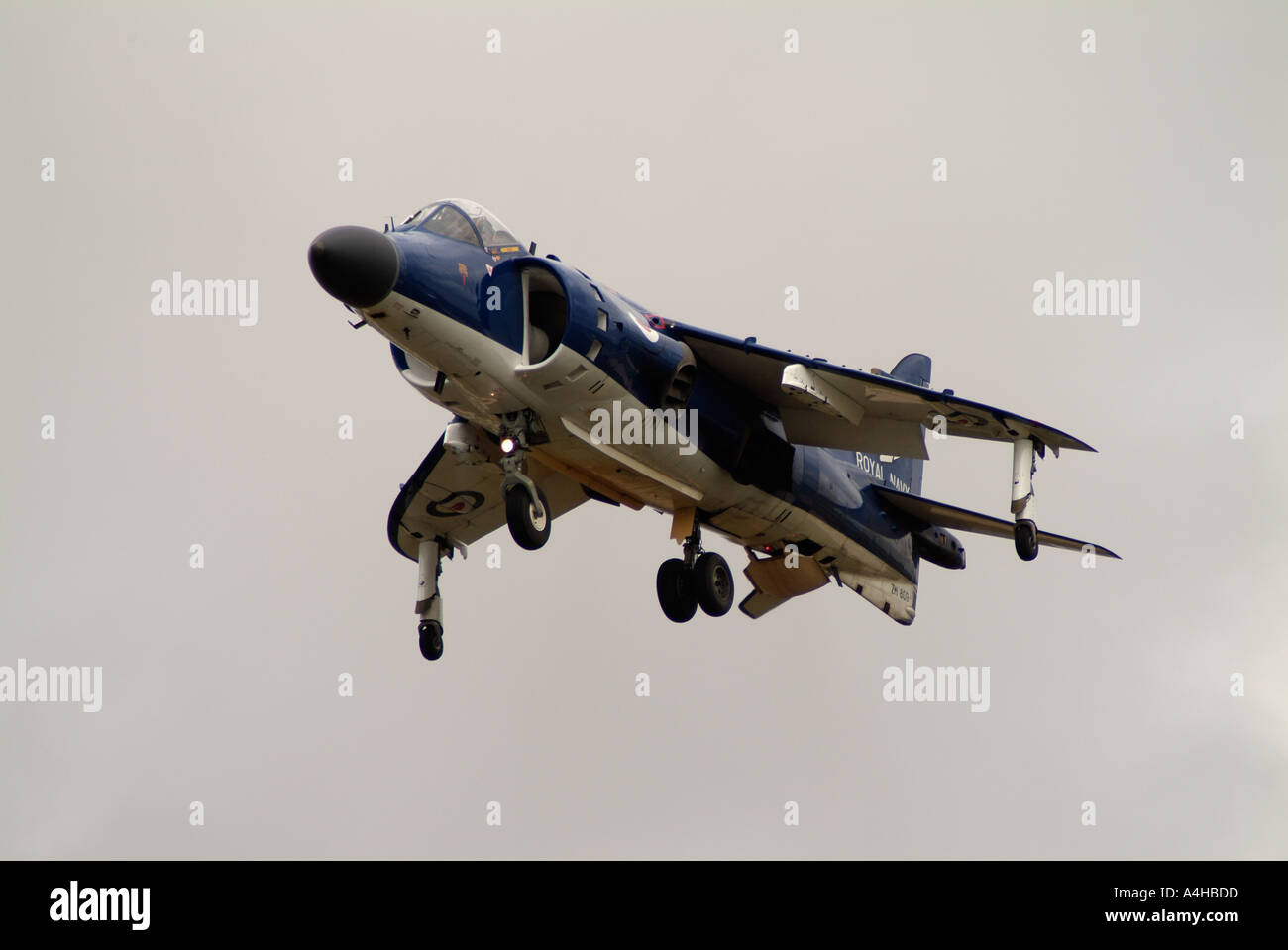 Royal Navy Sea Harrier presso il Royal International Air Tattoo 2004 Foto Stock