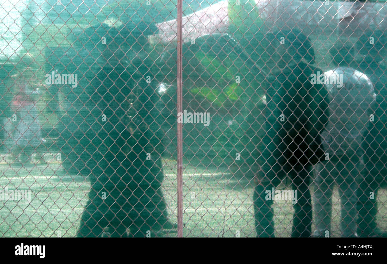 Cinco de Mayo, Los Angeles, California Foto Stock