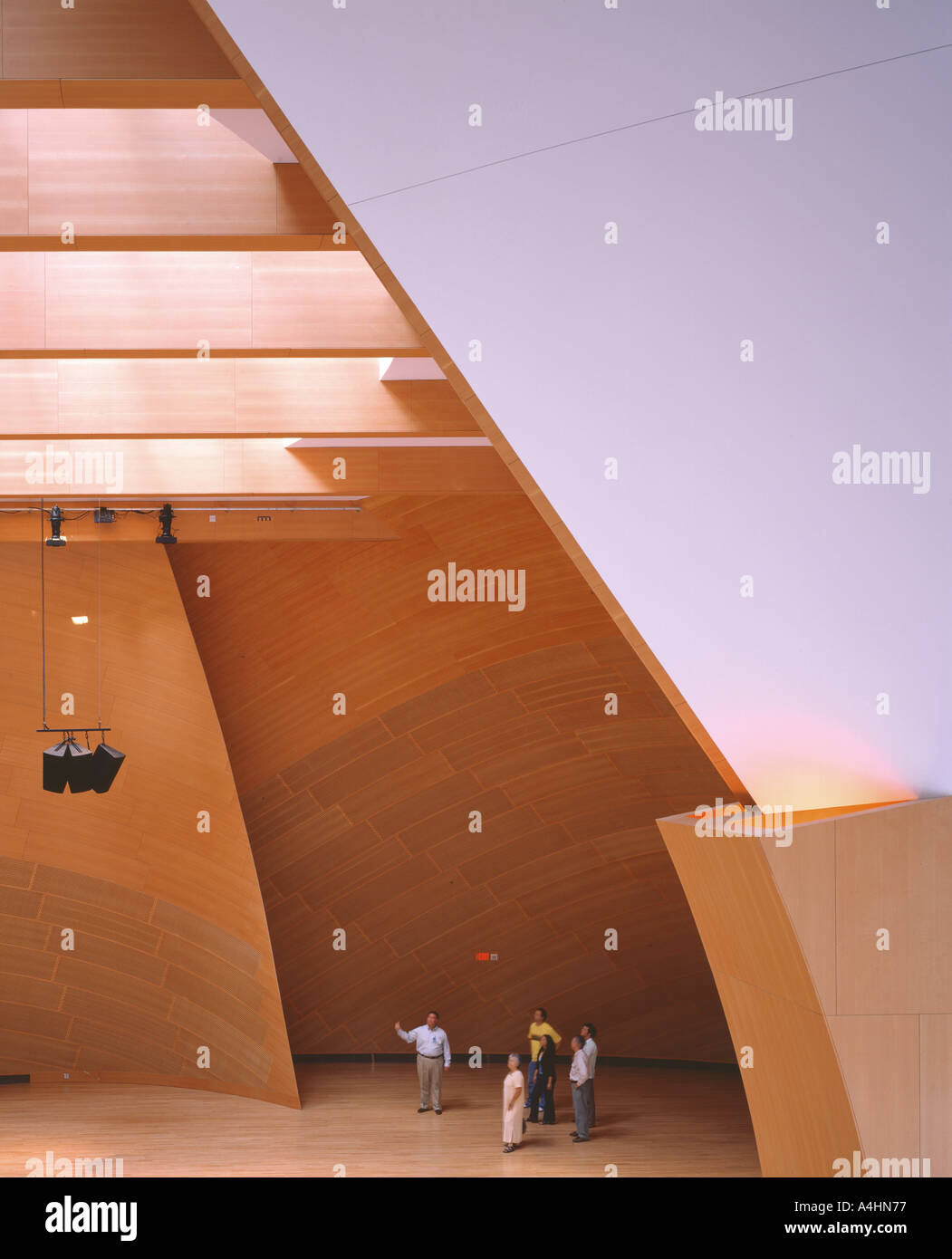 WALT DISNEY CONCERT HALL DI LOS ANGELES, Stati Uniti d'America Foto Stock