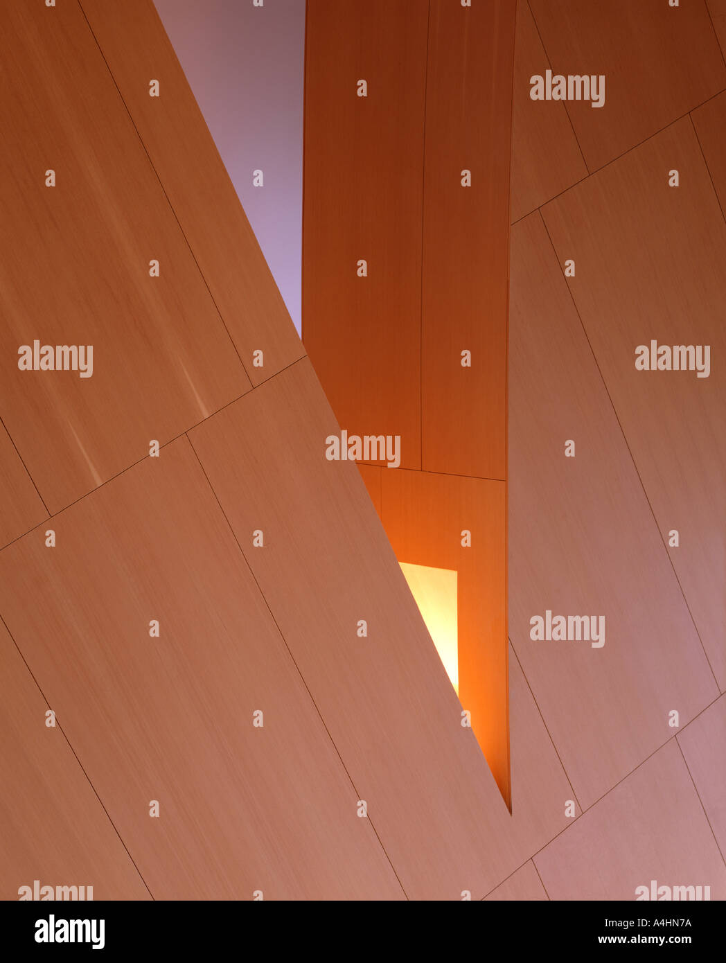 WALT DISNEY CONCERT HALL DI LOS ANGELES, Stati Uniti d'America Foto Stock