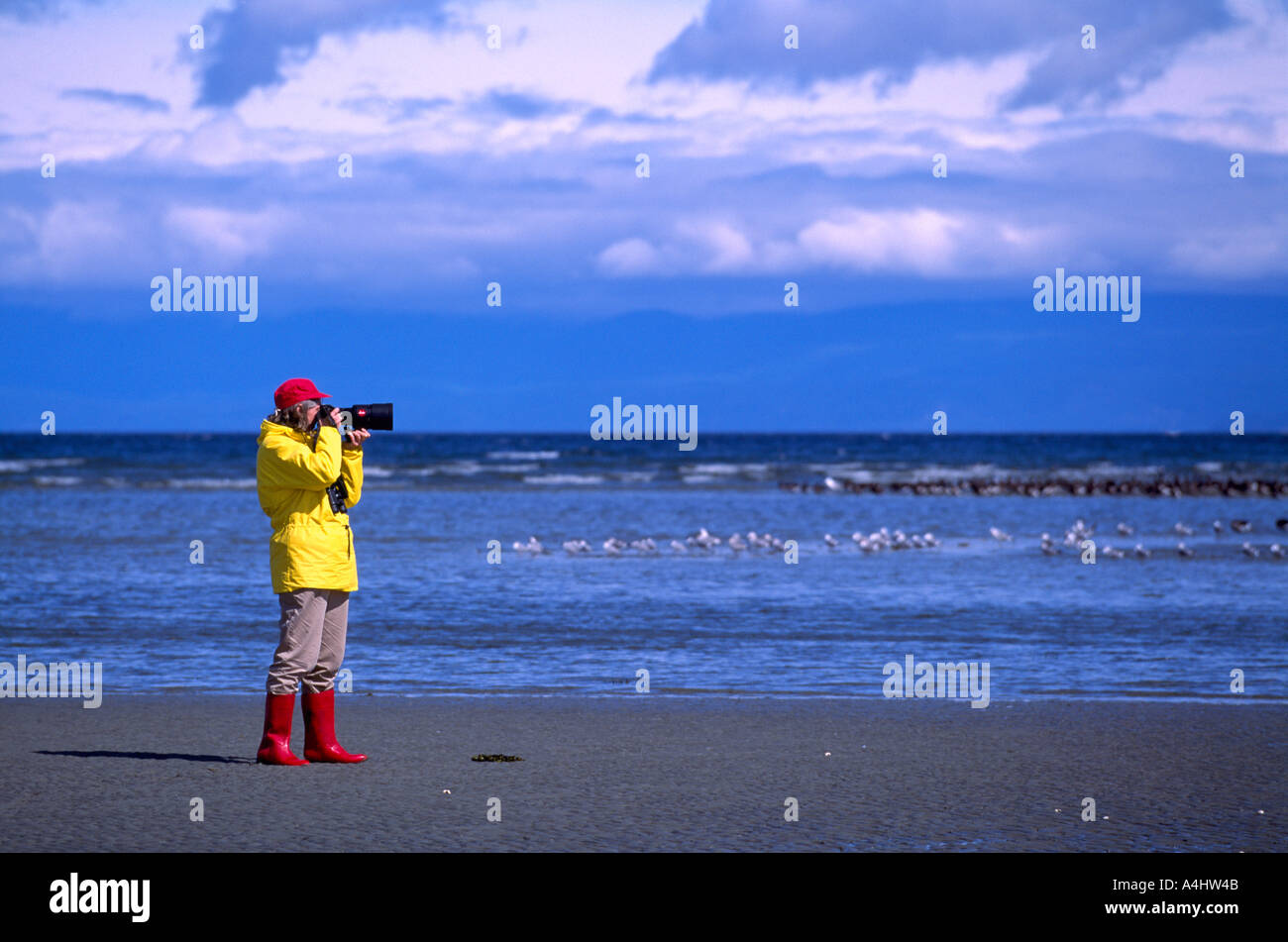 Fotografo scattare una fotografia con lente a lungo sulla fotocamera, sulla costa occidentale dell'isola di Vancouver, BC, British Columbia, Canada Foto Stock