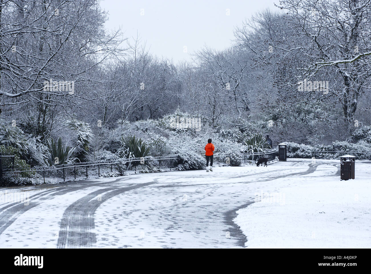 La mattina presto del jogging nella neve, Regents Park, Londra Foto Stock