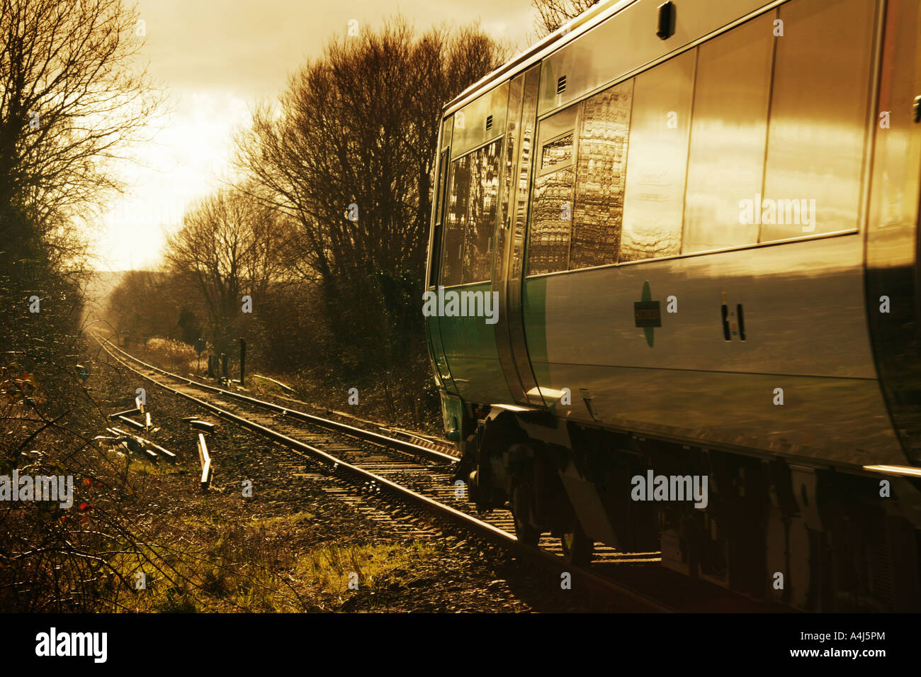 Treno locale nei pressi di segala East Sussex Regno Unito Foto Stock