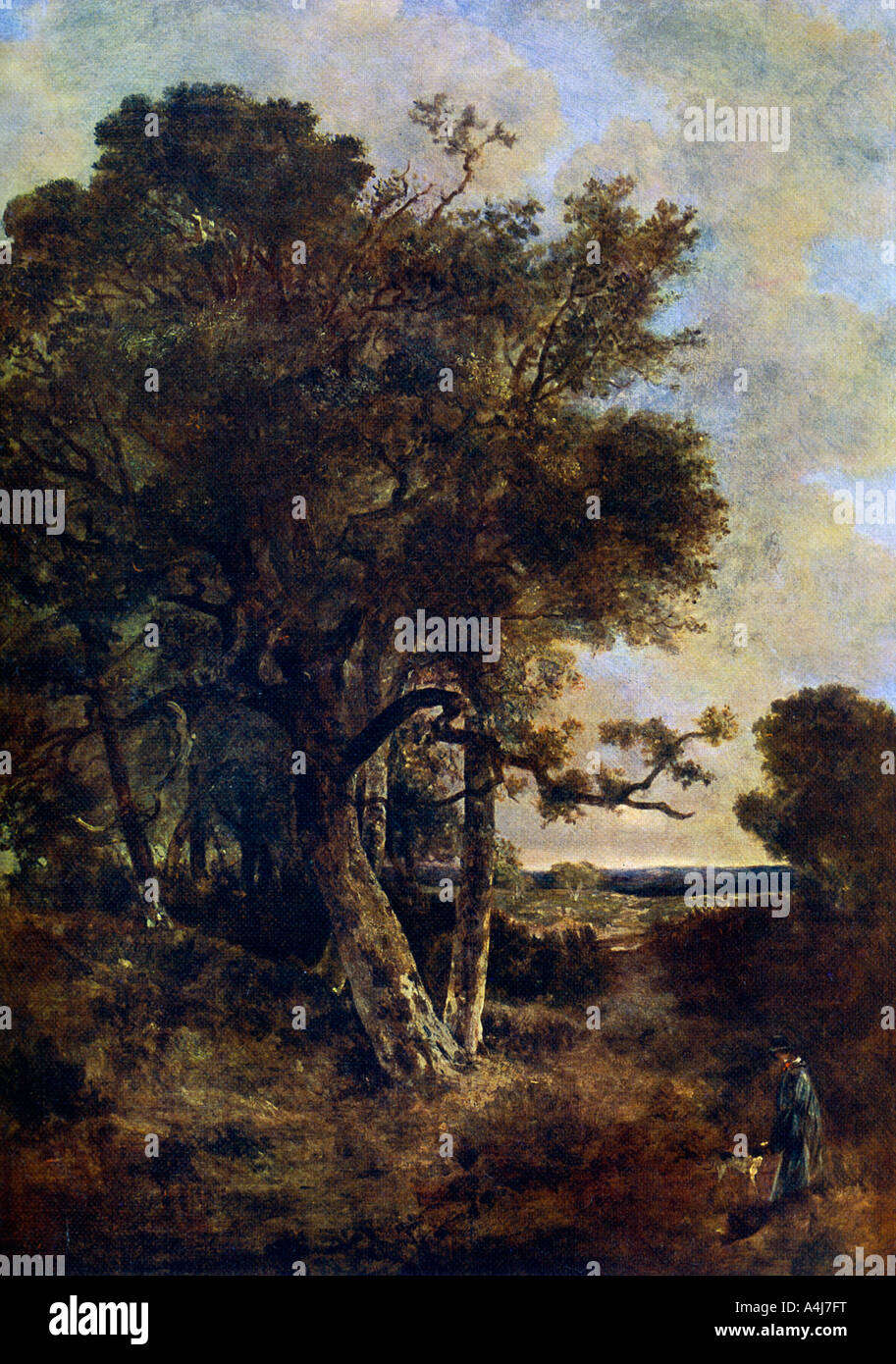 "Sull'gonne della foresta', c1788-1821, (1912).Artista: John Crome Foto Stock