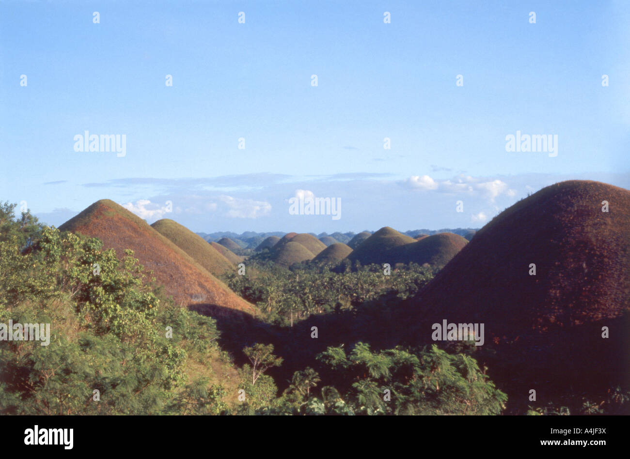 Il Chocolate Hills, Carmen, Provincia di Bohol, Filippine Foto Stock