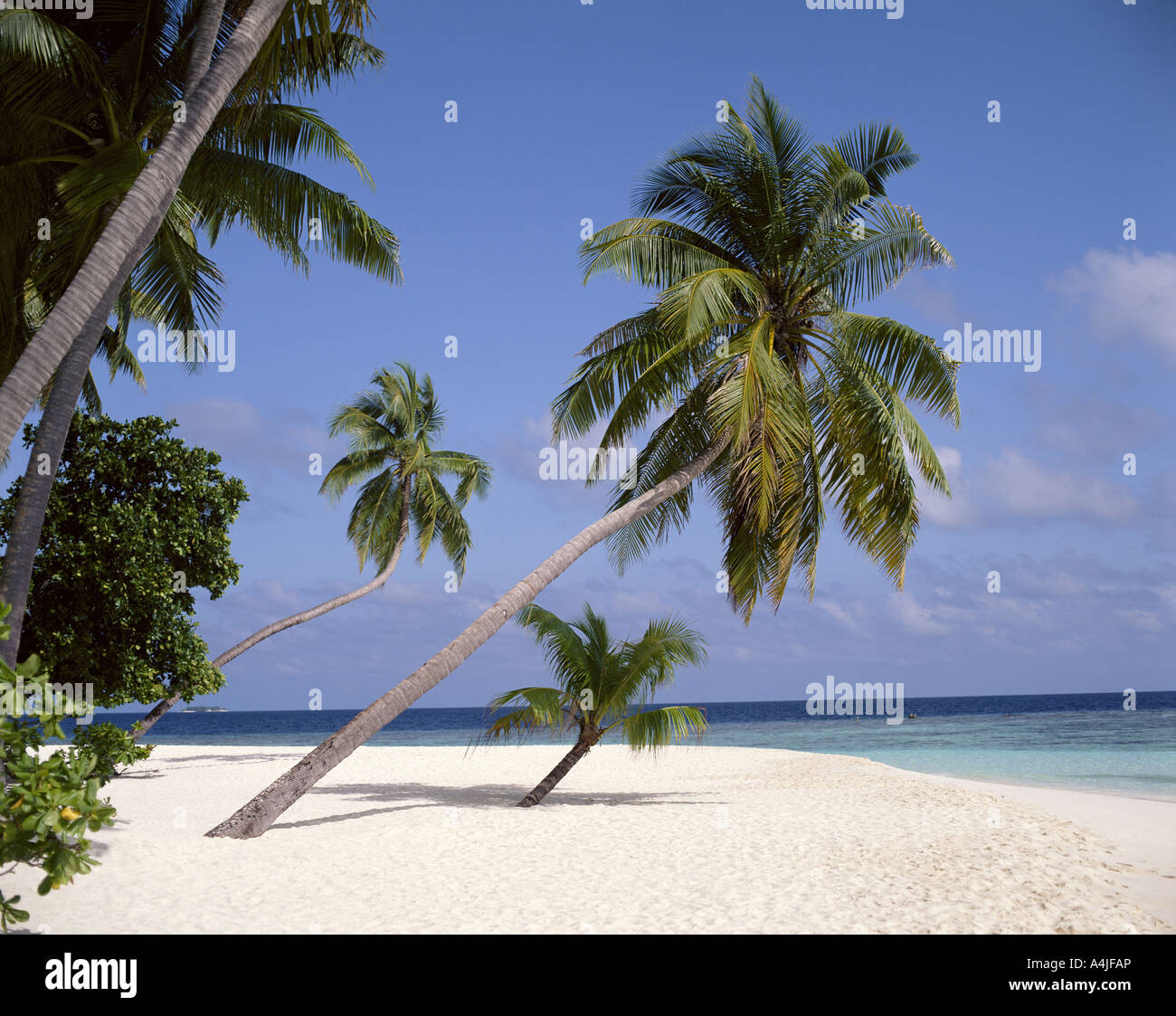 Tropical Beach view, Kuda Bandos Island, Kaafu Atoll, Repubblica delle Maldive Foto Stock