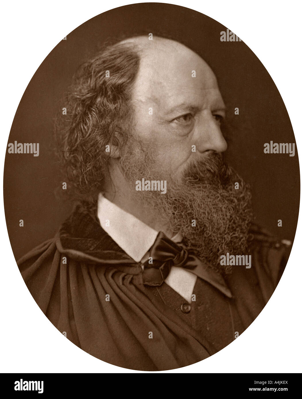 Alfred Tennyson, DCL, FRS, poeta inglese Laureate, 1883.Artista: Lock & Whitfield Foto Stock