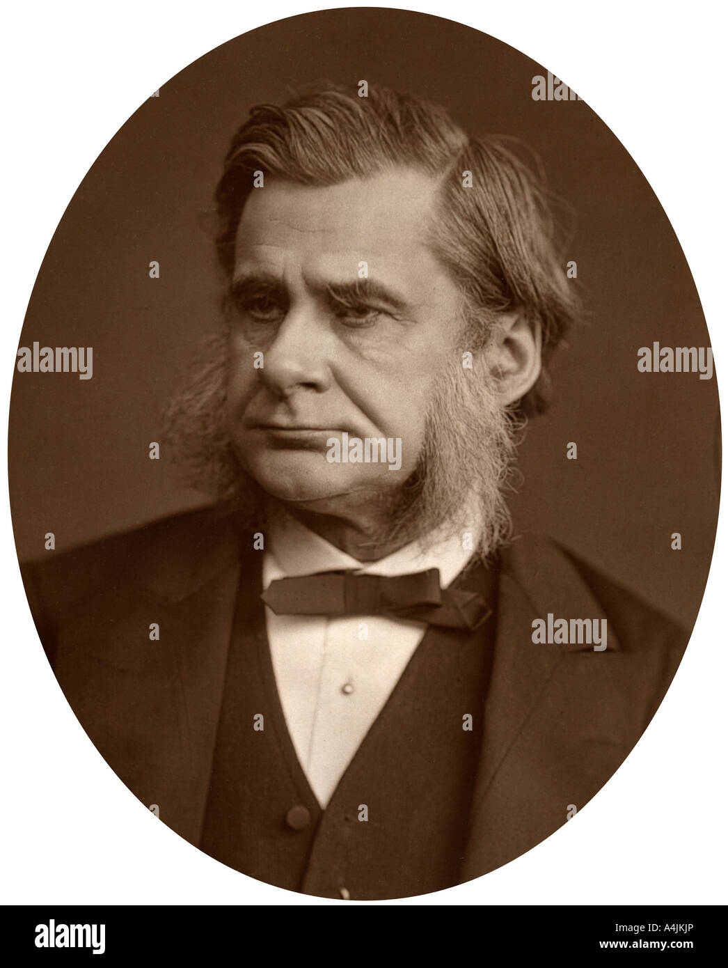 Il professor Thomas Henry Huxley, 1880.Artista: Lock & Whitfield Foto Stock