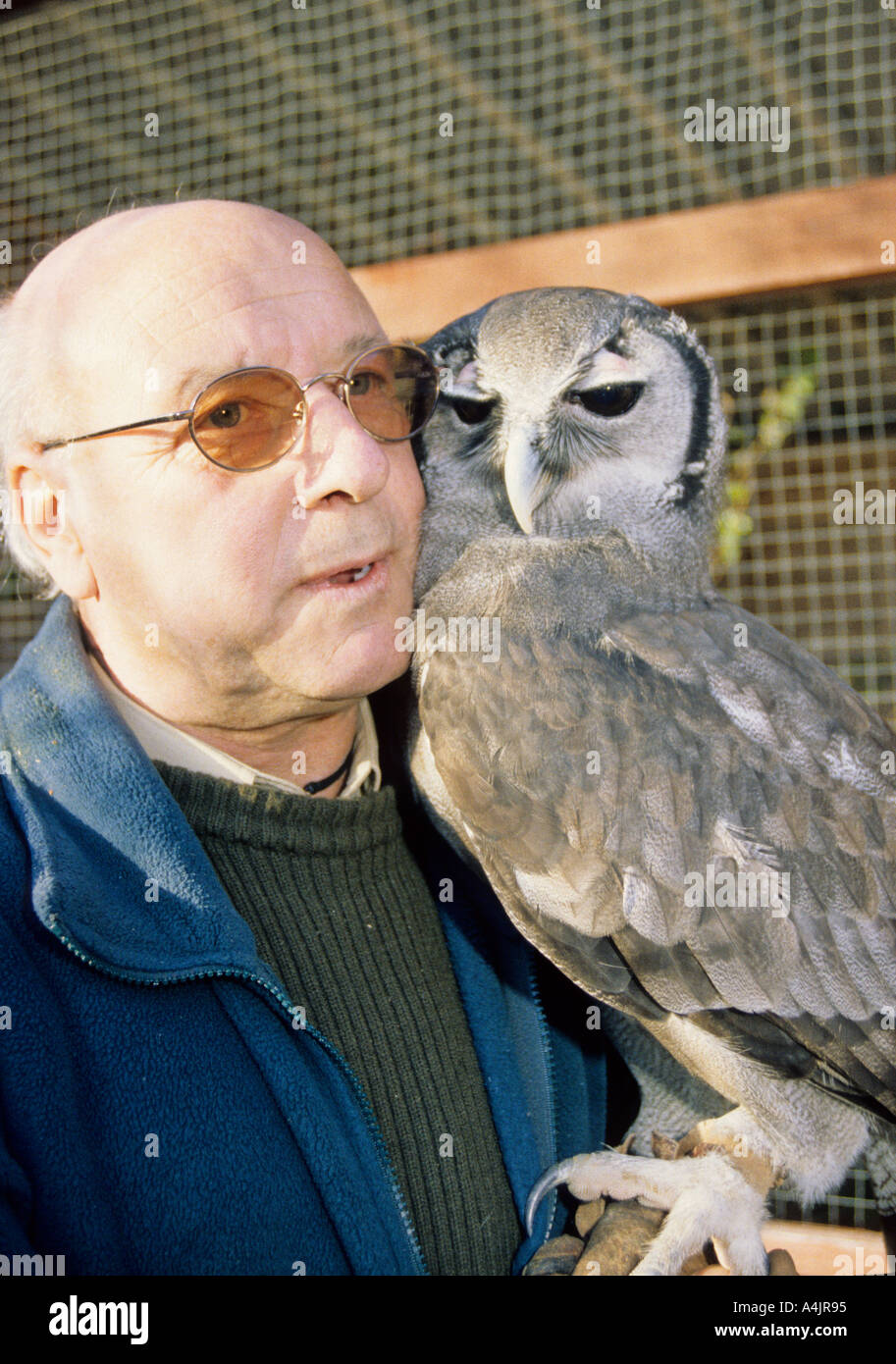 Curatore con Verreaux's il gufo reale (Bubo lacteus). Giant il gufo reale. Milky il gufo reale. Lattiginoso gigante Owl Foto Stock