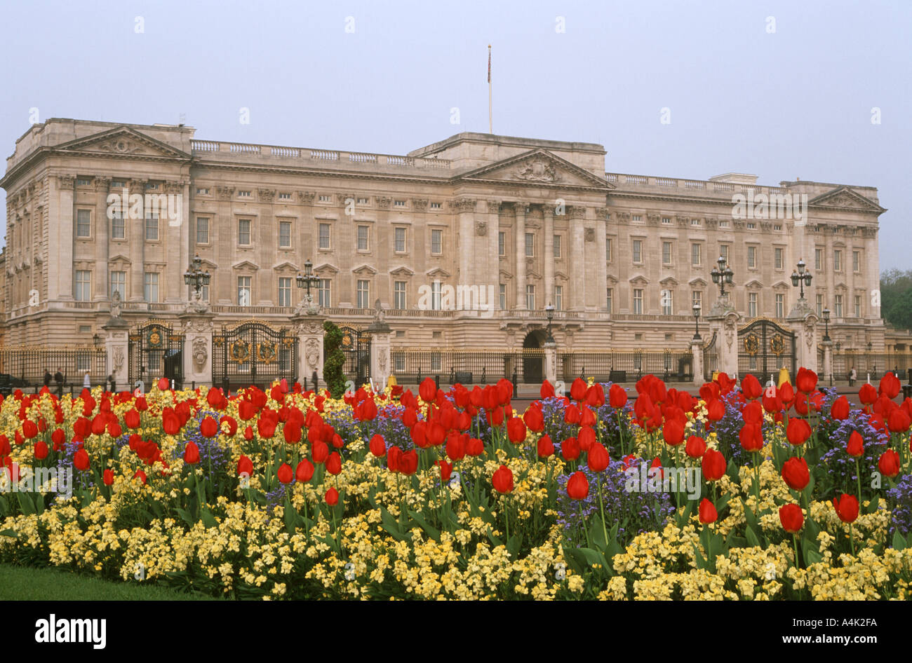 Buckingham Palace e tulipani in primo piano Londra Inghilterra Regno Unito Foto Stock