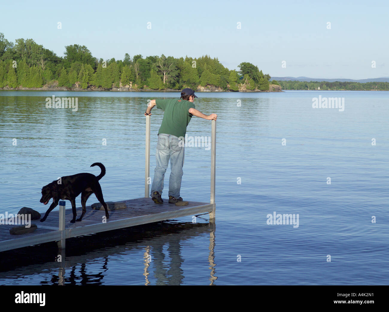 Cane e il suo proprietario ammirando il lago Champlain, eroe del Nord, Vermont in estate. Foto Stock
