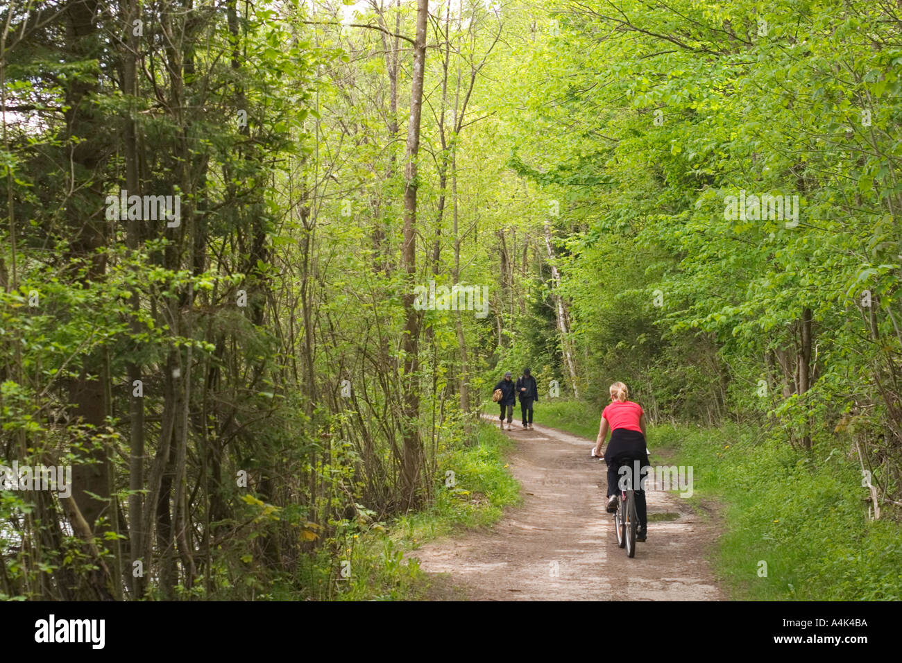 Biker nella foresta vicino a Baierbrunn Germania Foto Stock