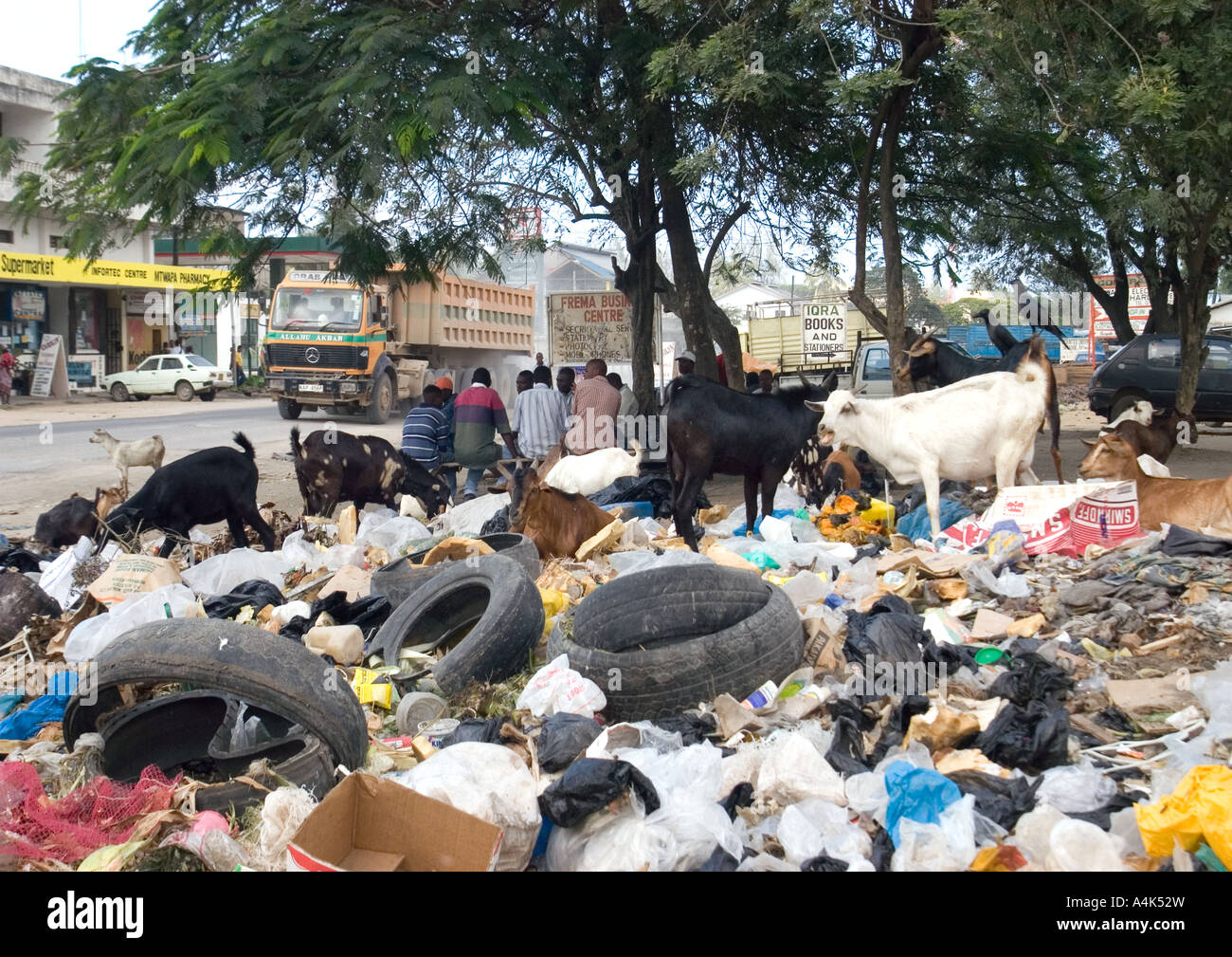 Capre alla ricerca di cibo in una discarica di rifiuti in Mtwapa, a nord di Mombasa, in Kenya Foto Stock