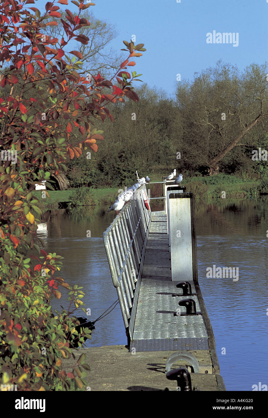 I posti barca si al blocco sul fiume Tamigi a Goring Foto Stock