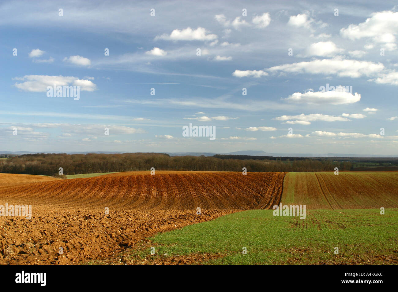 Francia, Giura, campo nel paesaggio di laminazione Foto Stock