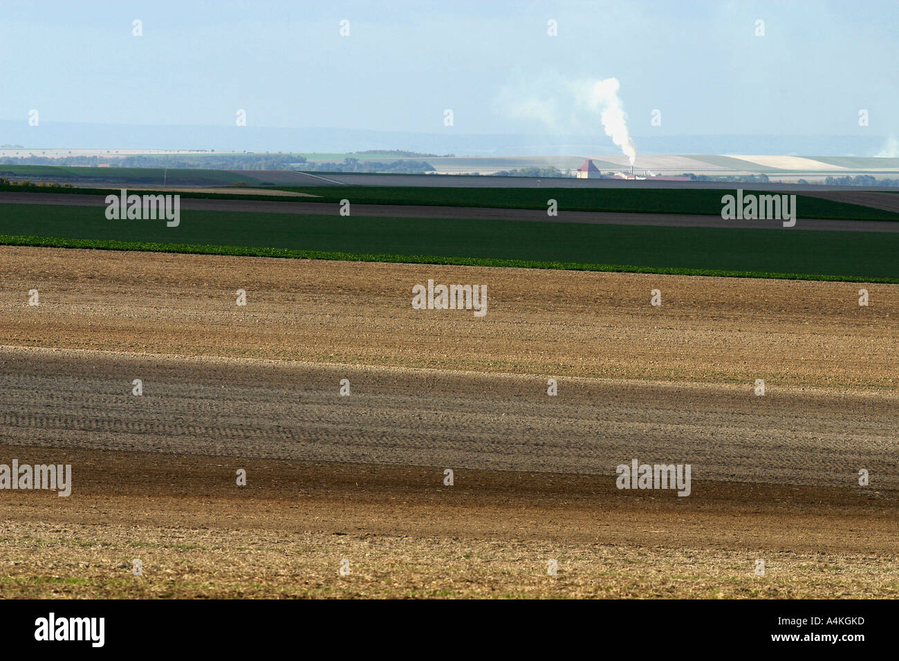 Francia, regione Champagne-Ardenne, campi Foto Stock