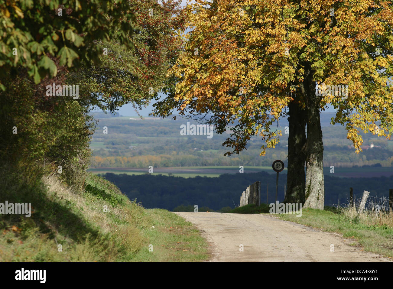 Francia, Giura, strada rurale in autunno Foto Stock