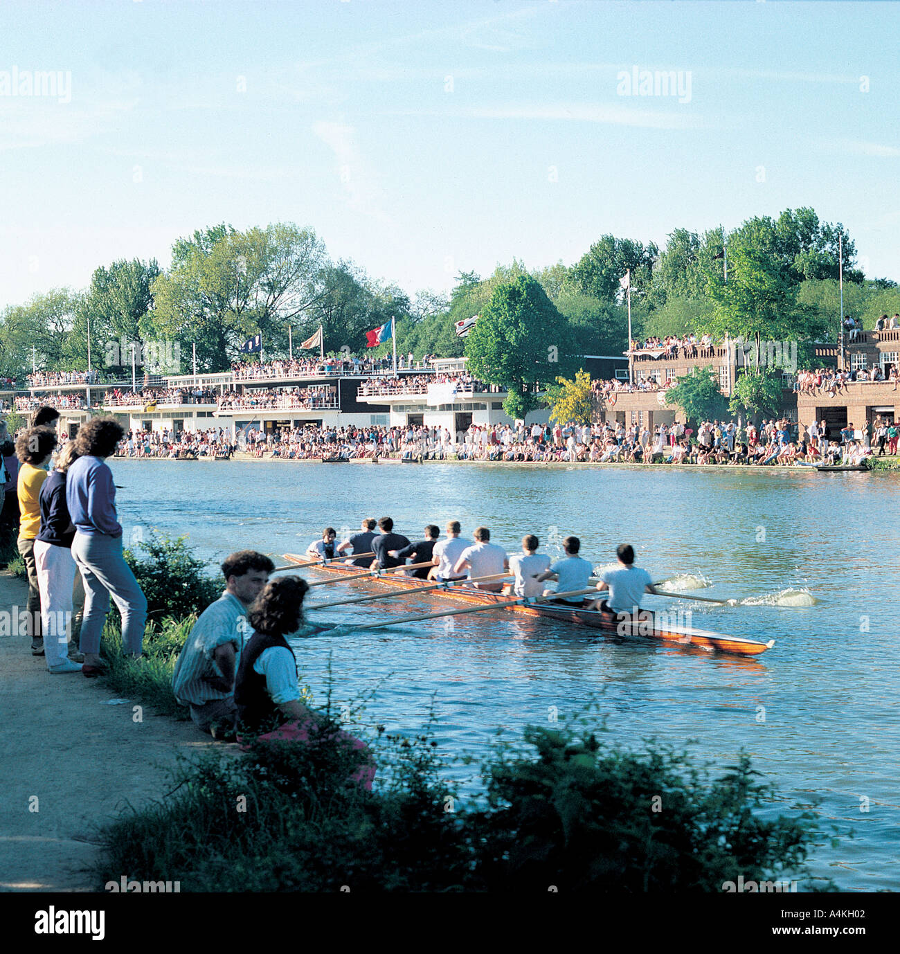 Canottaggio sul fiume Tamigi all ottava settimana, Oxford Foto Stock