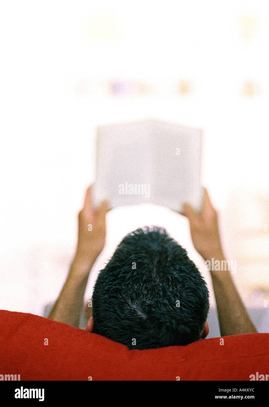 L'uomo la lettura di libro, vista posteriore Foto Stock