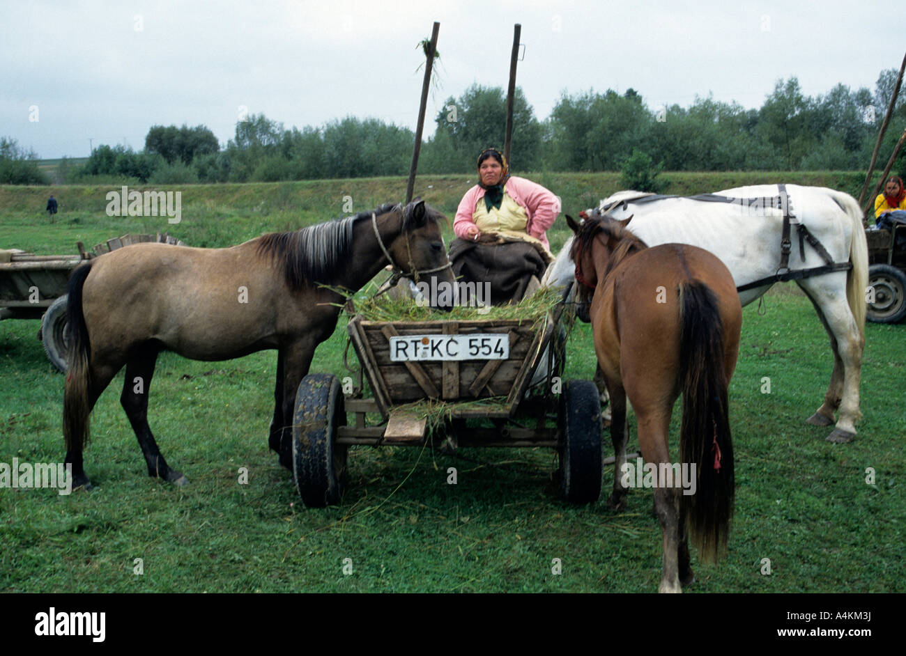 Donna gitana a fiera cavalli in Romania Foto Stock