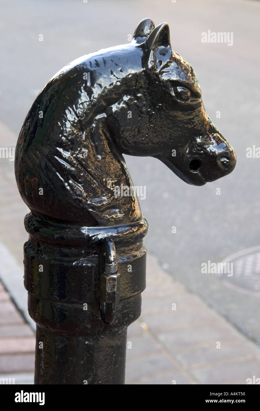 Cavallo post di aggancio nel Quartiere Francese di New Orleans in Louisiana Foto Stock