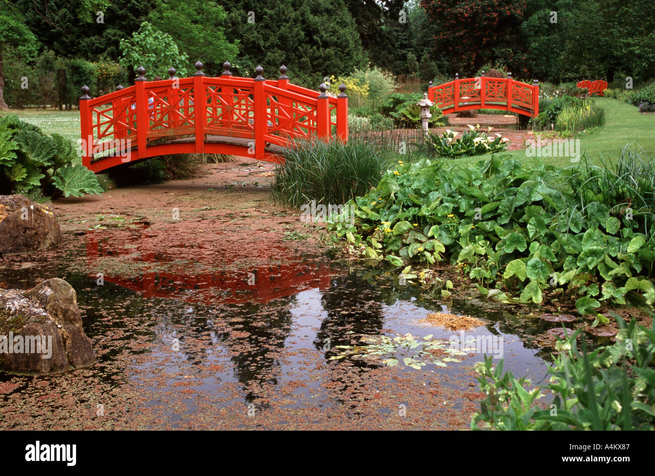 Stile giapponese i ponti in legno in giardini d'acqua a Wilton House Wiltshire, Inghilterra Foto Stock