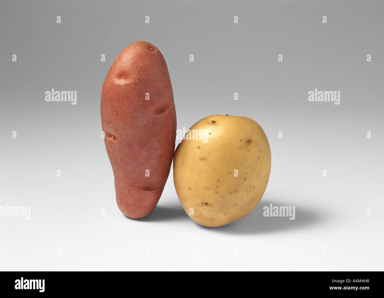 Patate Foto Stock