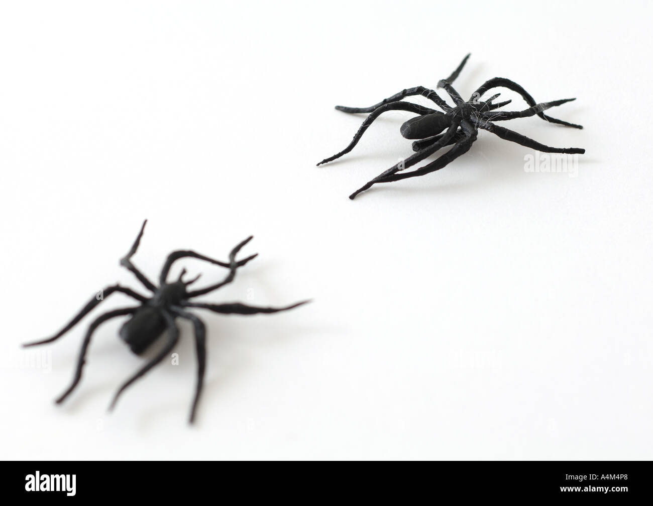 Ragni finti ragno plastica giocattolo Immagini senza sfondo e Foto Stock  ritagliate - Alamy