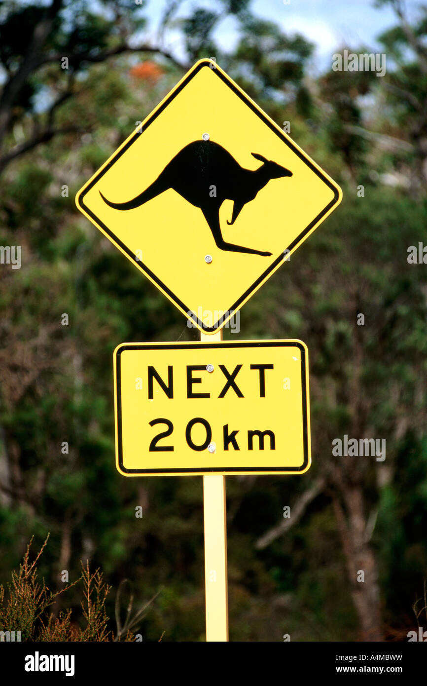 Canguro segno di avvertimento su una strada in Australia. Foto Stock