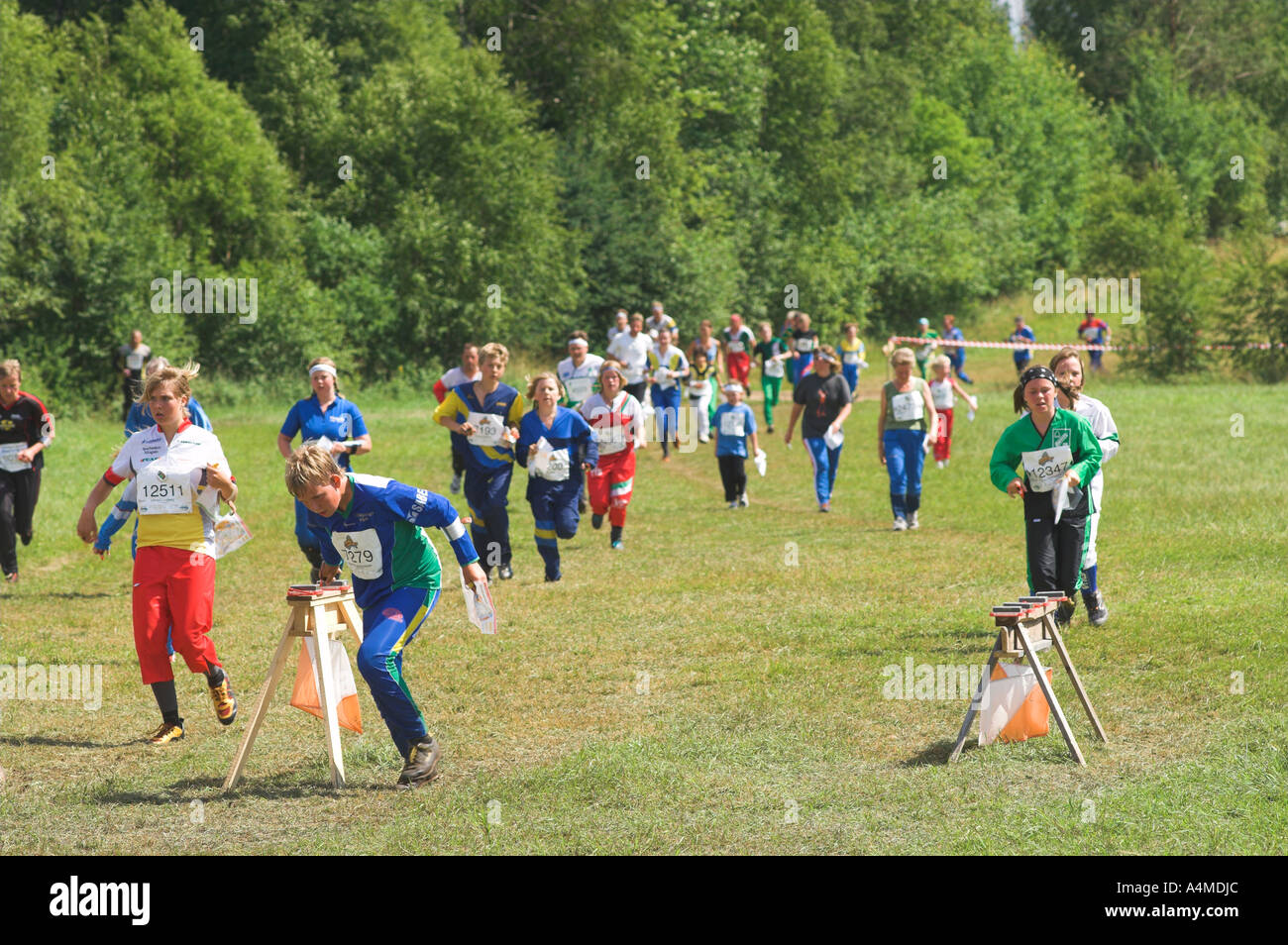 Orienteering in competizione O-ringen, Svezia Foto Stock