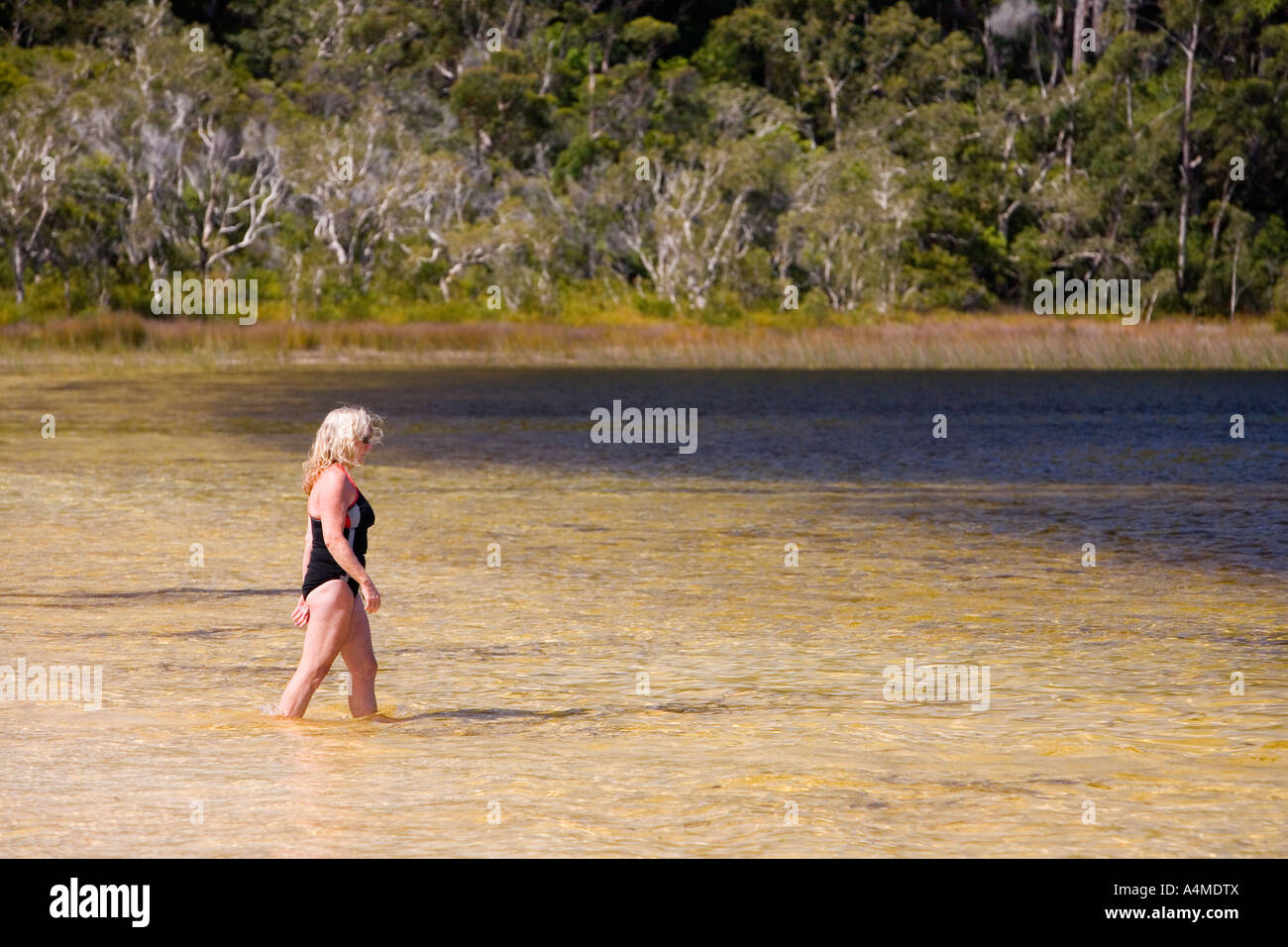 Lago Garawongera - Fraser Island, Queensland, Australia Foto Stock