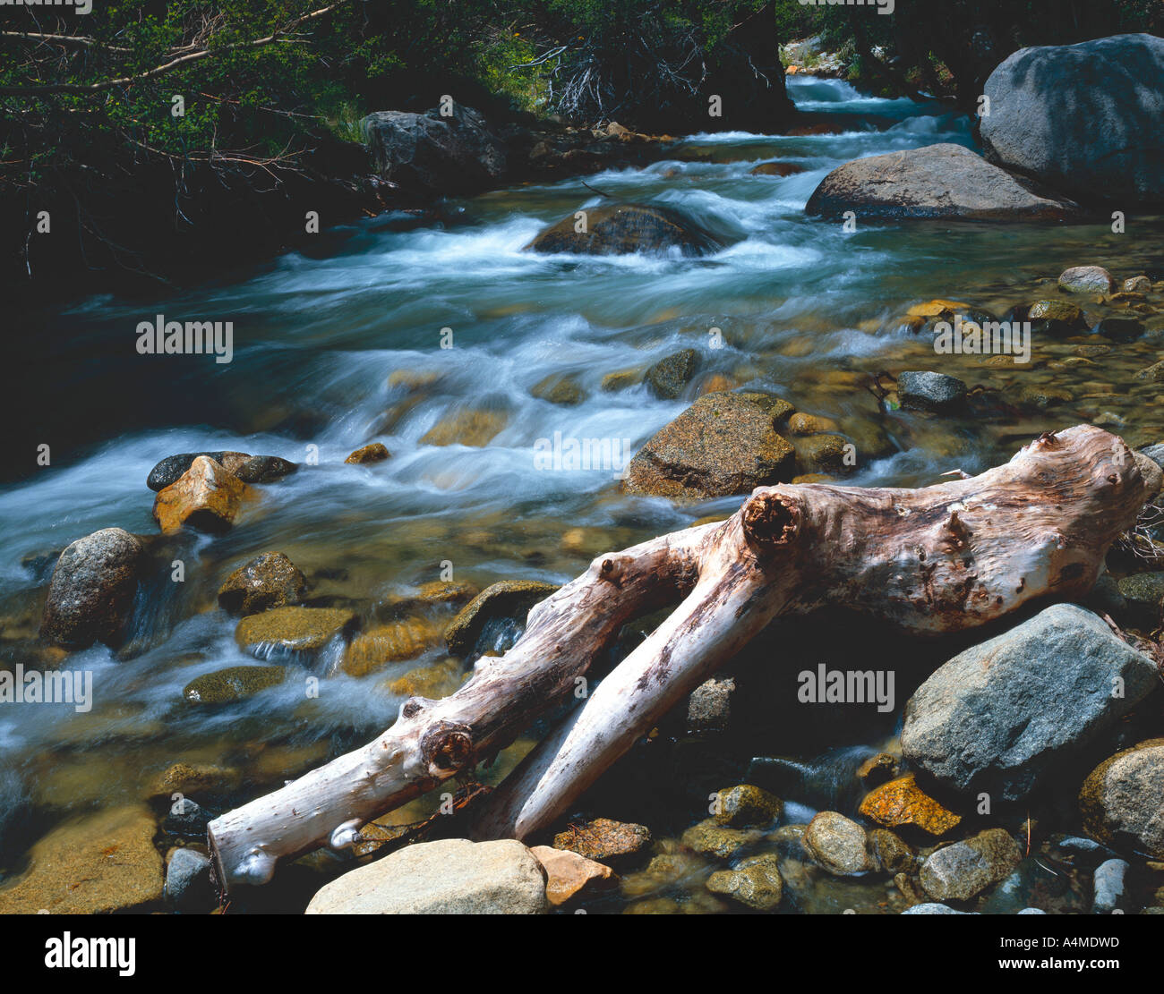 Correndo in acqua creek Foto Stock