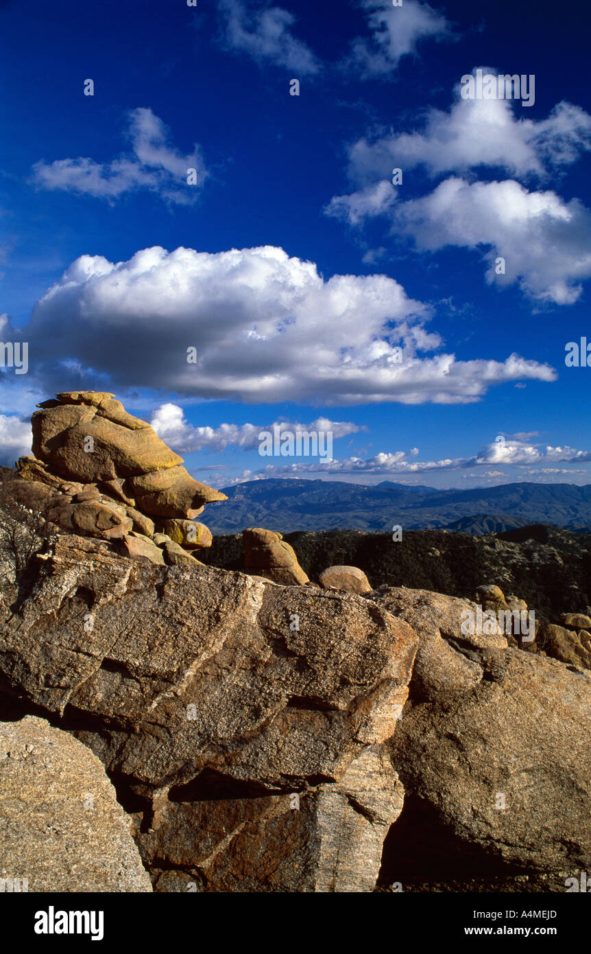 Le formazioni rocciose di Santa Catalina Mountains Foto Stock