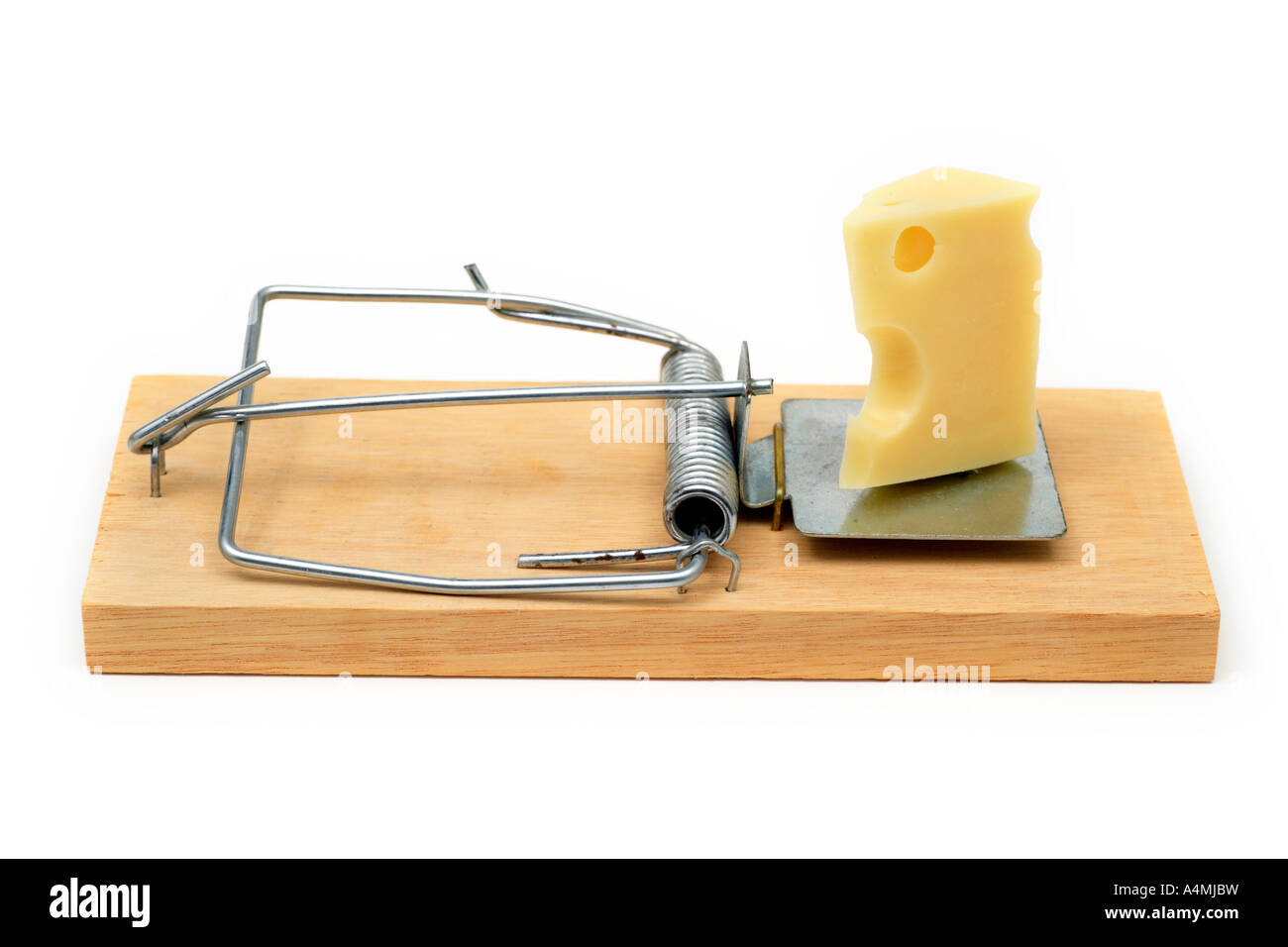 Mousetrap innescata con formaggio Foto Stock