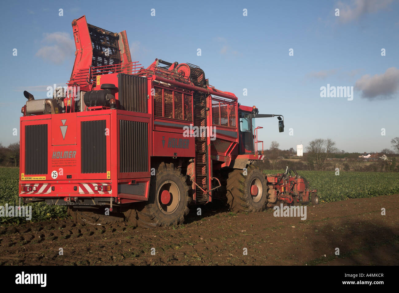 Holmer Terra Dos 3 barbabietola da zucchero harvester Rendlesham, Suffolk, Inghilterra Foto Stock