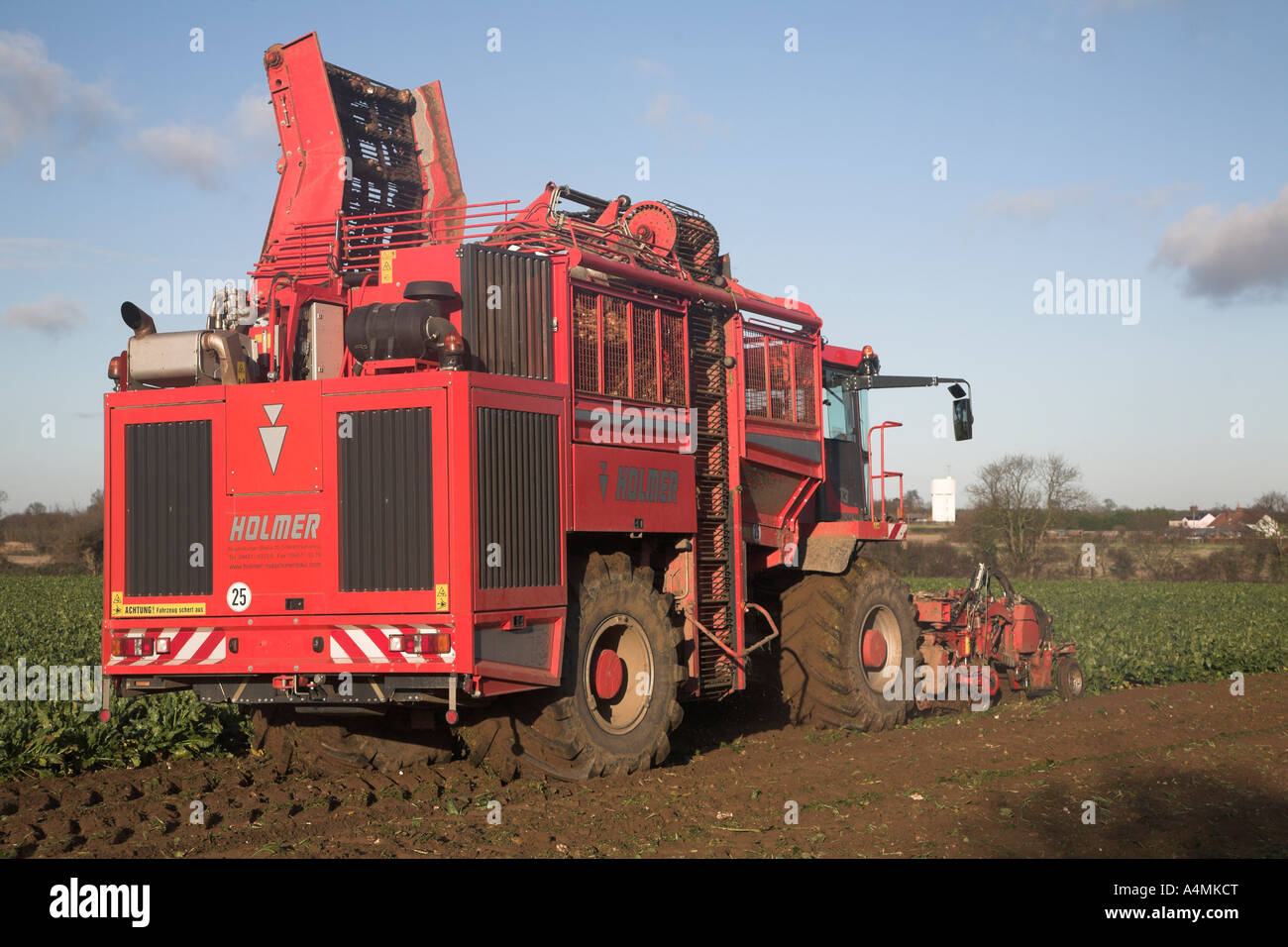 Holmer Terra Dos 3 barbabietola da zucchero harvester Rendlesham, Suffolk, Inghilterra Foto Stock