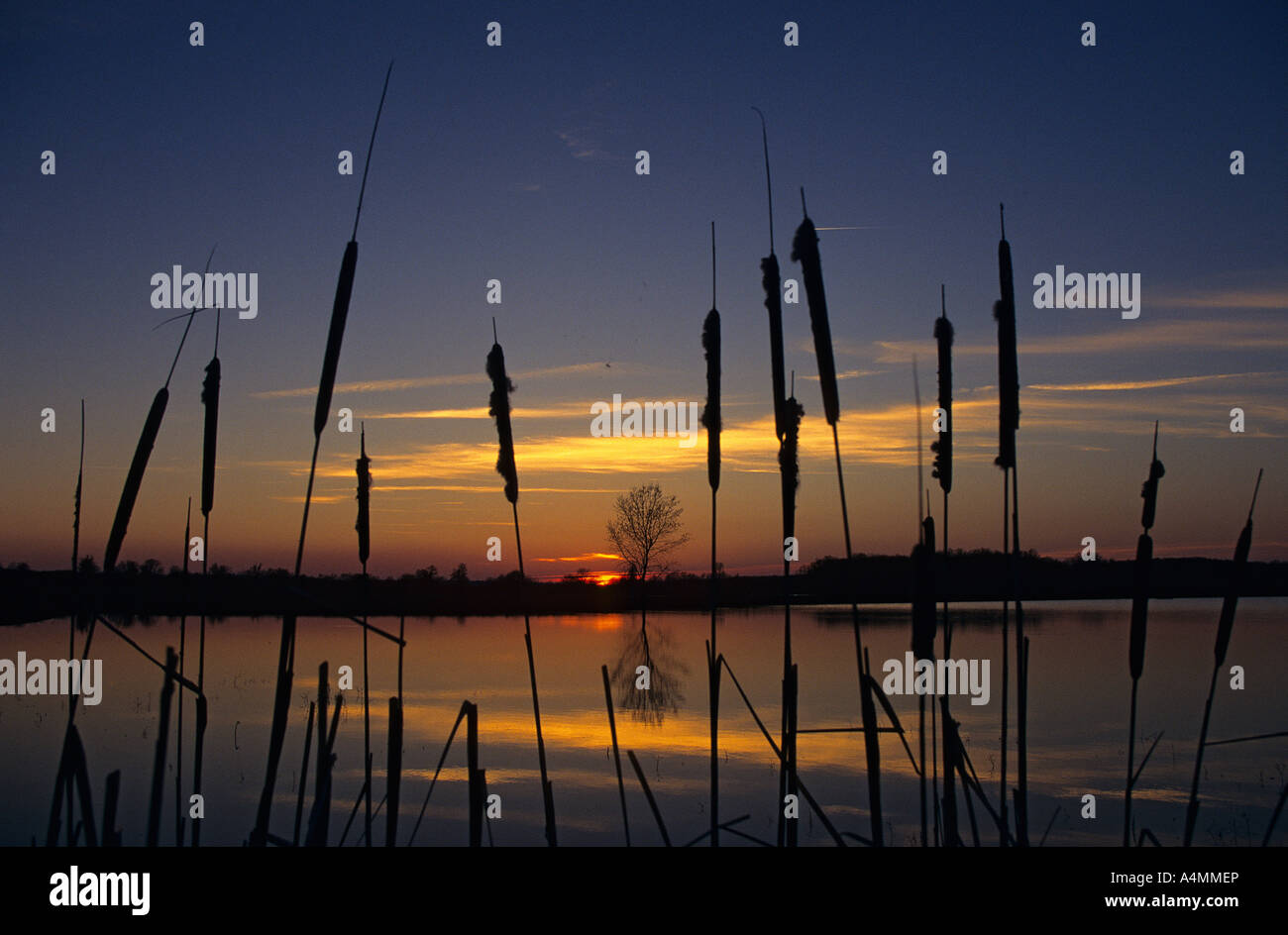 Tramonto sulla regione di Brenne (Indre - Francia). Coucher de soleil en Brenne (Indre - Francia). Foto Stock